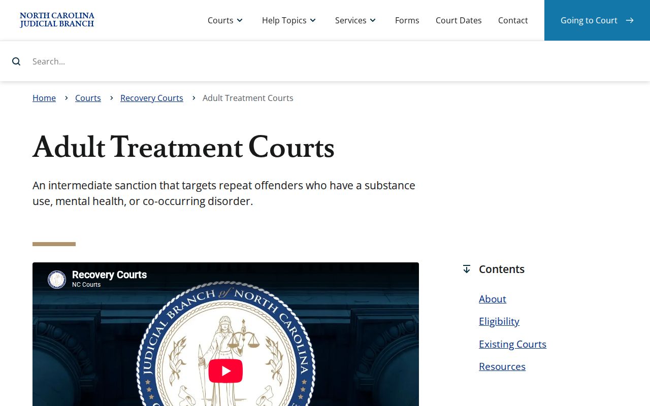 Henderson County criminal docket recovery court information